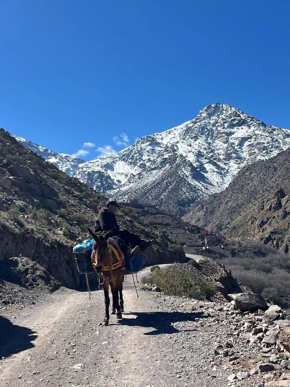 Apkārt Ziemeļāfrikas jumtam(Toubkal trek)